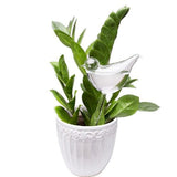 Bird Self Watering Globe | Plant | $5.68