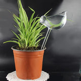 Bird Self Watering Globe | Plant | $5.68