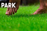 Nakefit - Sticker Shoes | Sticker Shoes | $2.84