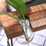 Saved Plant Terrarium With Wooden Stand | $14.30