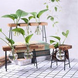 Saved Plant Terrarium With Wooden Stand | $14.30