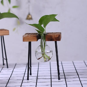 Saved Plant Terrarium With Wooden Stand | $14.30